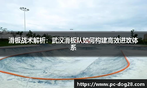 狗子28官方网站