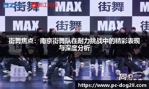 狗子28官方网站